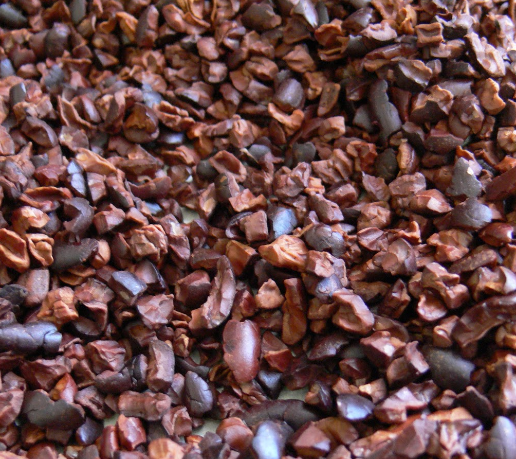Cacao Nibs